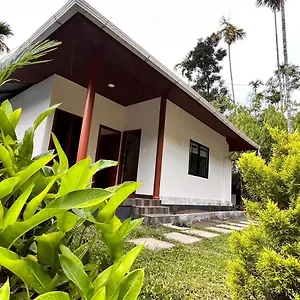 Guest house Cave Valley Wayanad 